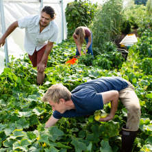 Kodama Farm & Food Forest